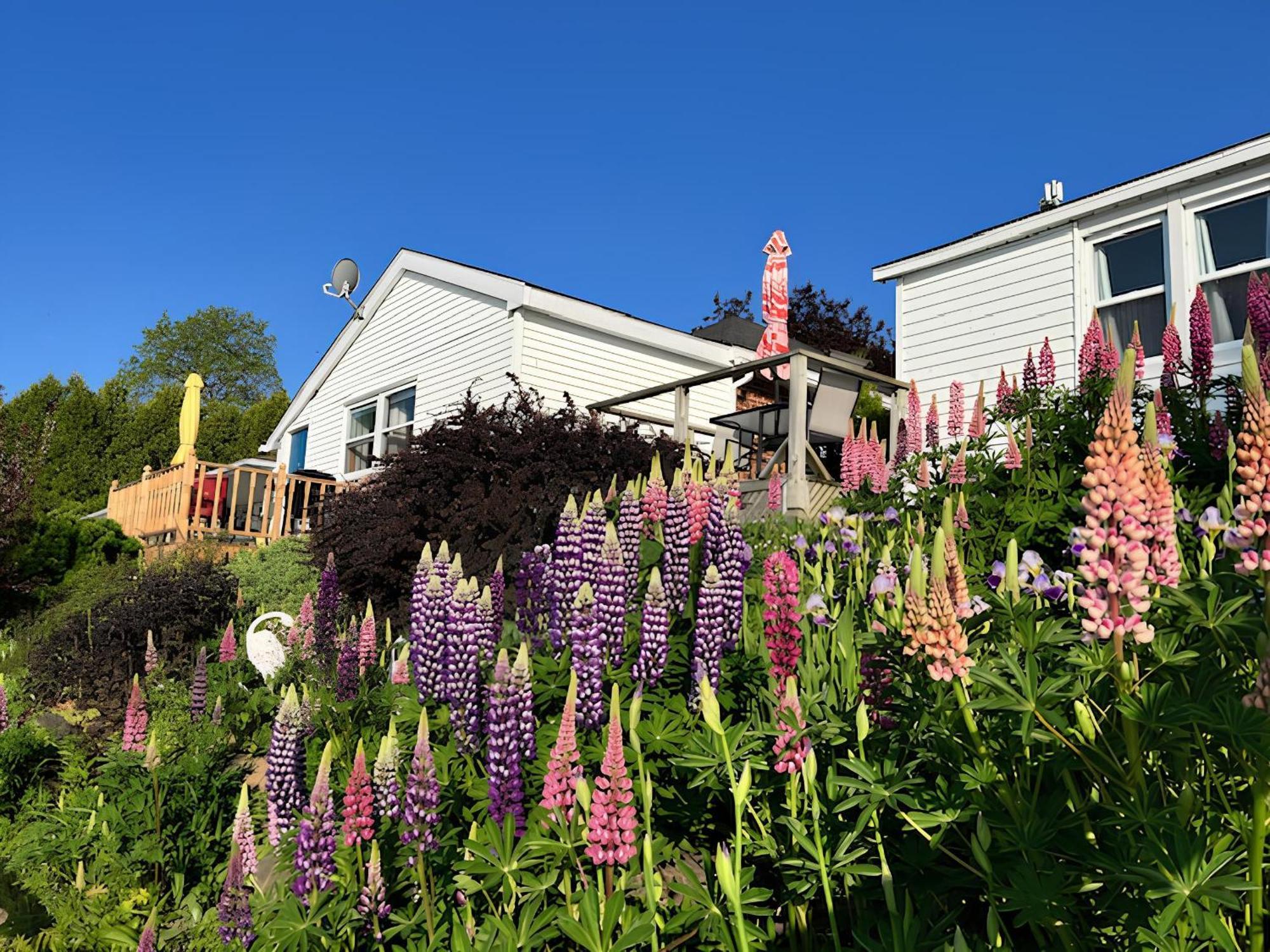 Dewar'S Inn And Cottages Prescott Luaran gambar